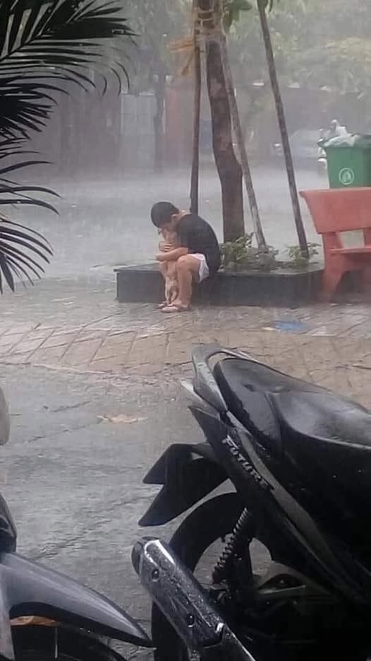 A Heartwarming Tale: A Boy Bravely Holds His Dog in the Rain, Melting the Hearts of Millions