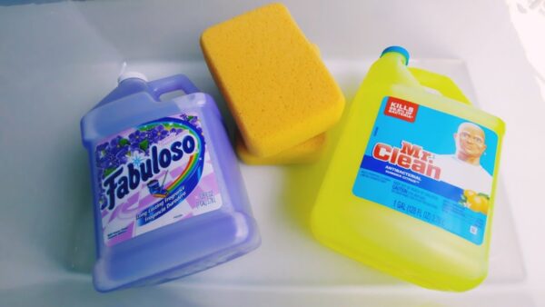 TWO JUGS Lavender FABULOSO+ Lemon MR.CLEAN – Viewer Request Series