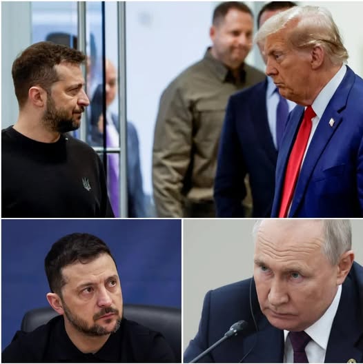 🔥 Shocking Statement! Trump Says Working With Russia Is Easier Than Ukraine – What’S The Real Story? 🤯🌍 See More Articles In The Comments Section For More Details👇👇👇