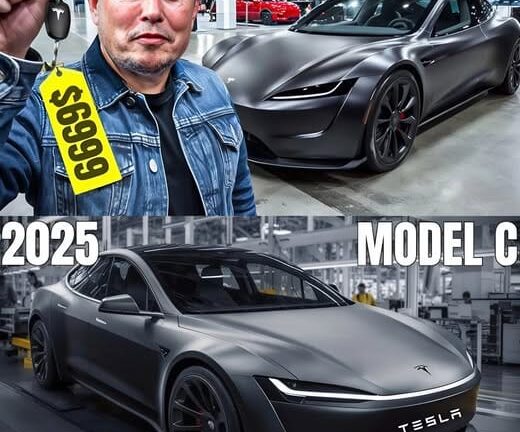 IT HAPPENED! Elon Musk’s $6999 Tesla Car FINALLY Hitting The Market