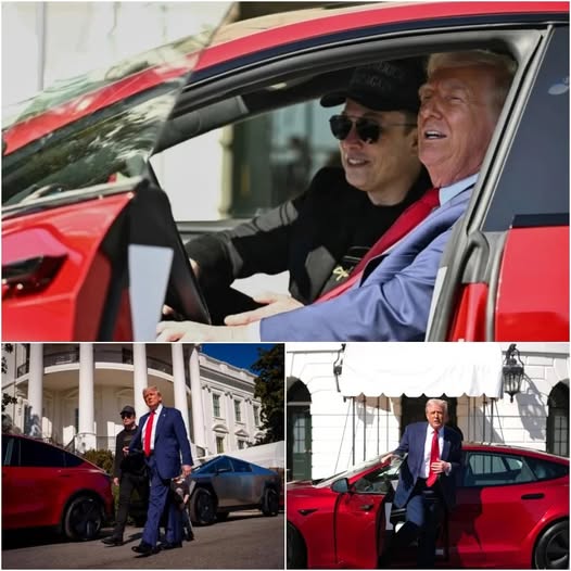 A Special Regulation Forced Mr. Trump To Buy A Tesla, However, Under The Terms Of This Regulation, He Is Not Allowed To Drive The Car.
