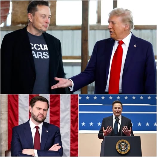 Mr. Vance Admitted That Elon Musk Made Mistakes In Cutting Government.