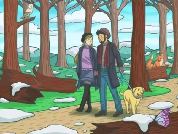 Only someone with extraordinary observation skills can successfully spot the cleverly hidden rabbit within the image in under fifteen seconds without any difficulty