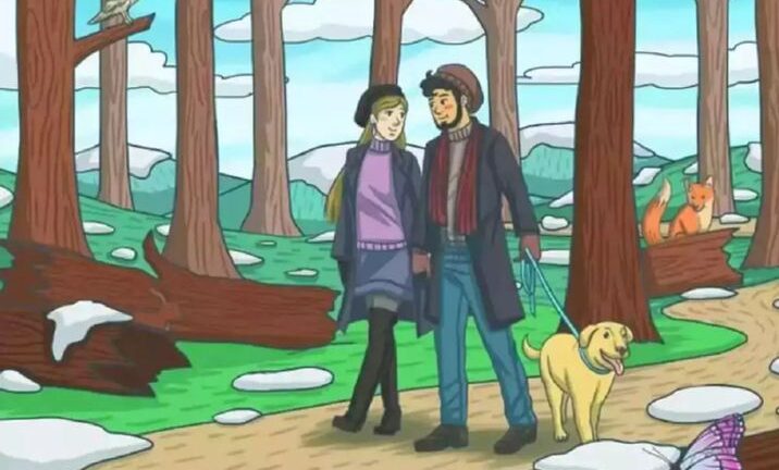 Only someone with extraordinary observation skills can successfully spot the cleverly hidden rabbit within the image in under fifteen seconds without any difficulty